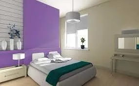 Zugraveli cu vopsele lavabile Bucuresti