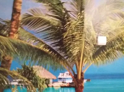 Zugraveli - finisaje - montaj tapet - Bucuresti