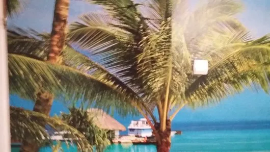 Zugraveli - finisaje - montaj tapet - Bucuresti