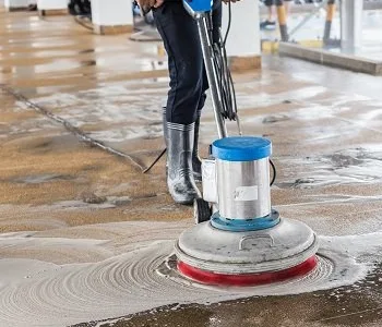 Curatenie si intretinere cladiri - Bucuresti
