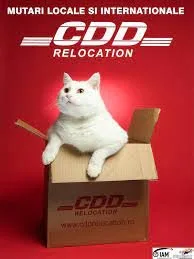 Servicii de relocare - Otopeni / Ilfov