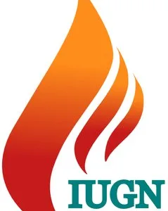 Instalatii gaze Ilfov