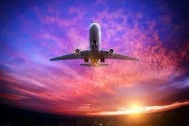 Transporturi si expeditii internationale de marfa - Otopeni / Ilfov