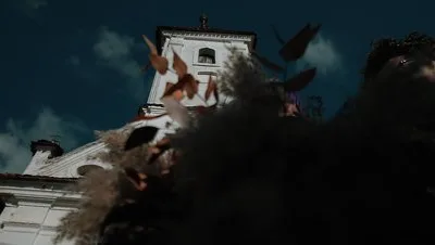 Videograf cameraman profesionist - Ilfov