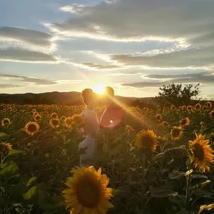 Creator de clipuri video - Bucuresti