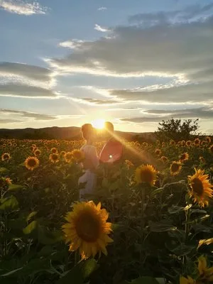 Creator de clipuri video - Bucuresti