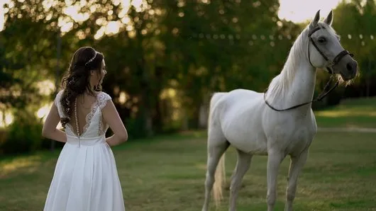 Creator de clipuri video - Bucuresti