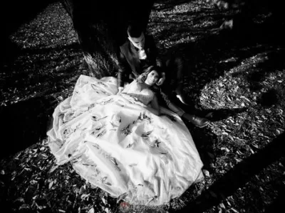 Servicii foto si video - Bucuresti