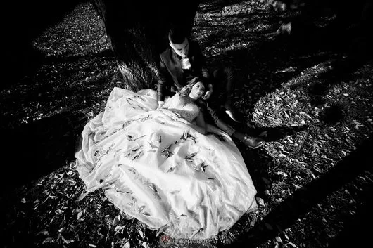 Servicii foto si video - Bucuresti