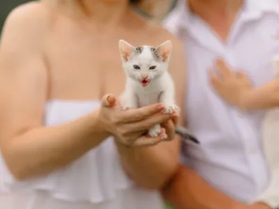 Fotograf - Corbeanca