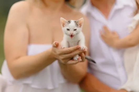 Fotograf - Corbeanca