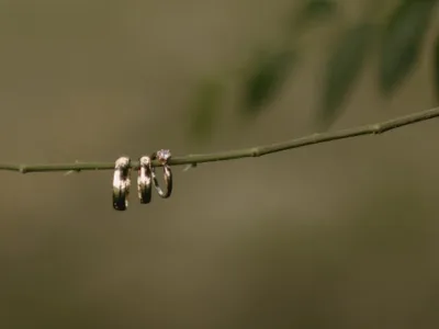 Fotograf - Corbeanca