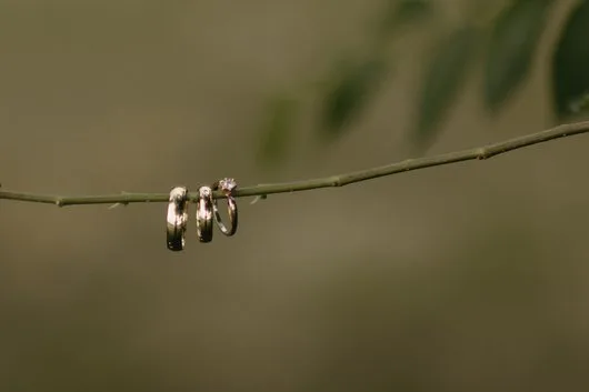 Fotograf - Corbeanca