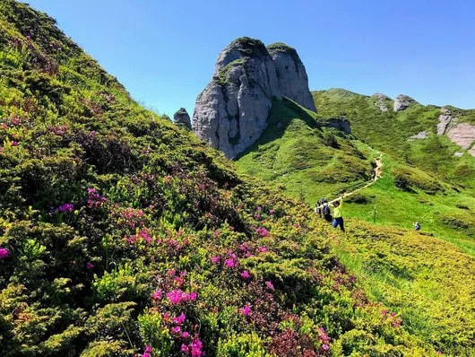 Videograf - Bucuresti