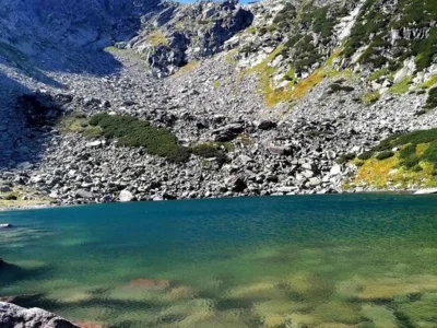 Videograf - Bucuresti