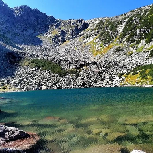 Videograf - Bucuresti