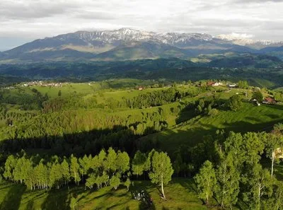 Videograf - Bucuresti