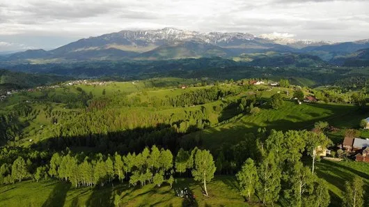 Videograf - Bucuresti