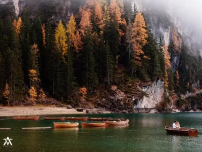 Fotograf - Bucuresti