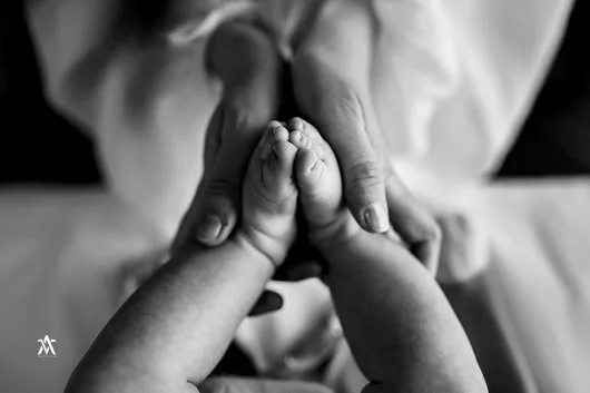 Fotograf - Bucuresti