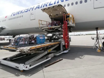 Transport aerian animale de companie - Bucuresti