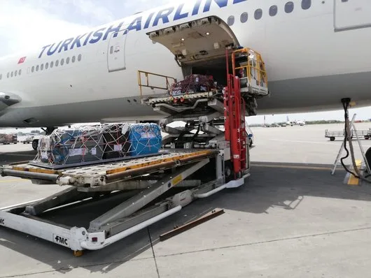 Transport aerian animale de companie - Bucuresti