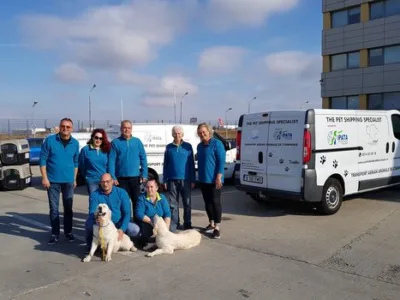 Transport aerian animale de companie - Bucuresti