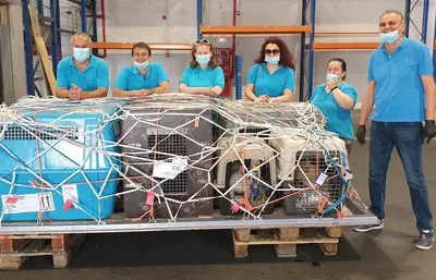 Transport aerian animale de companie - Bucuresti
