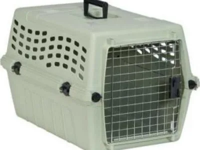 Transport aerian animale de companie - Bucuresti