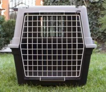 Transport aerian animale de companie - Bucuresti