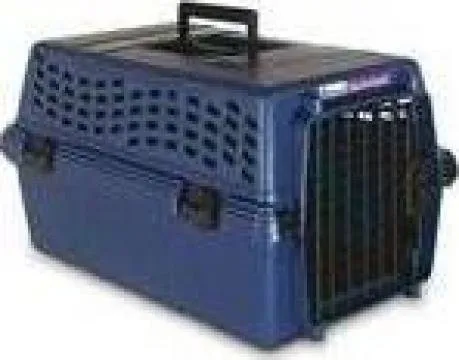 Transport aerian animale de companie - Bucuresti