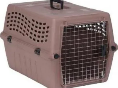 Transport aerian animale de companie - Bucuresti
