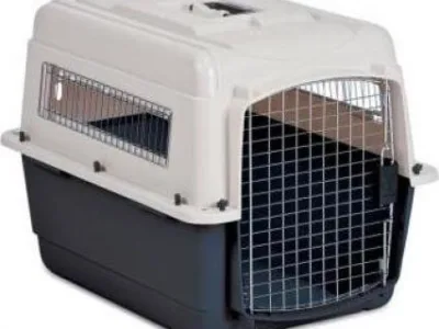 Transport aerian animale de companie - Bucuresti