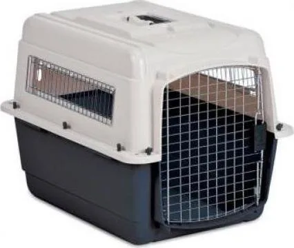 Transport aerian animale de companie - Bucuresti