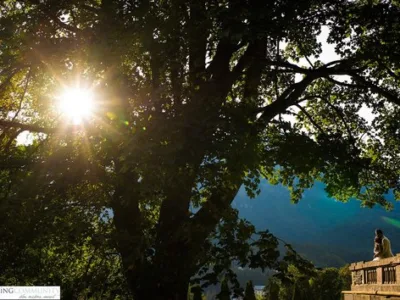 Fotograf profesionist de nunta - Bucuresti