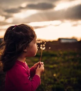 Fotograf - Bucuresti