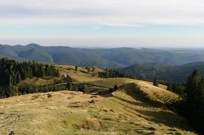 Cameraman pentru evenimente