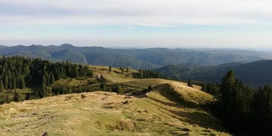 Cameraman pentru evenimente
