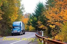Transporturi interne si internationale de marfa - Sibiu