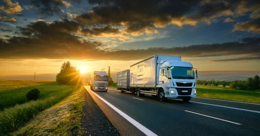 Transport - logistica - distributie marfa - asistenta vamala - Paleu / Bihor