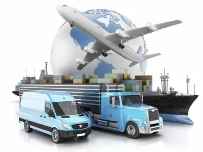 Transport - logistica - distributie marfa - asistenta vamala - Paleu / Bihor