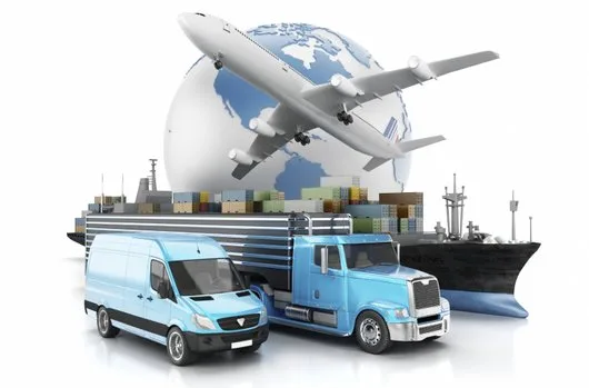 Transport - logistica - distributie marfa - asistenta vamala - Paleu / Bihor