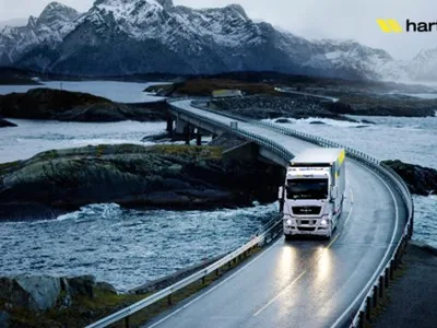 Transport - logistica - distributie marfa - asistenta vamala - Paleu / Bihor