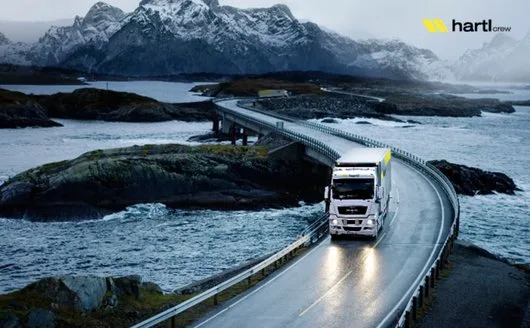 Transport - logistica - distributie marfa - asistenta vamala - Paleu / Bihor