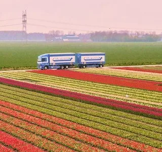 Transport de marfa aerian - naval si rutier - Ploiesti