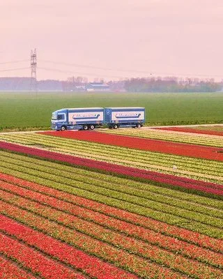 Transport de marfa aerian - naval si rutier - Ploiesti