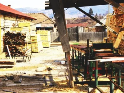 Transporturi de marfuri interne si internationale si vanzare cherestea - Toplita / Harghita