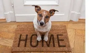 Transport rutier - naval si aerian marfa - Afumati / Ilfov