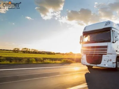 Transport international si intern de marfa - Radauti / Suceava
