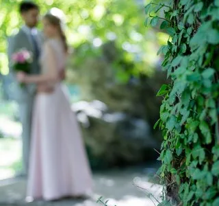 Servicii foto/ video - Bucuresti